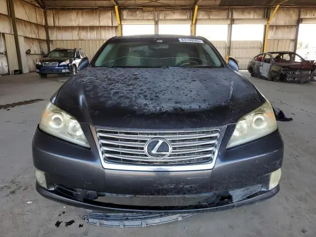 2010 LEXUS ES 350  