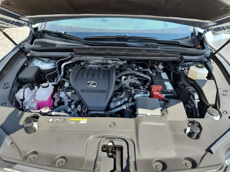 2025 LEXUS RX 350 PREMIUM+  
