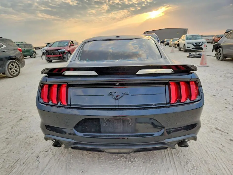 2019 FORD MUSTANG   
