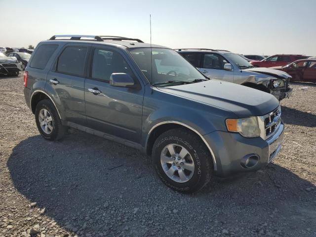 2010 FORD ESCAPE LIMITED