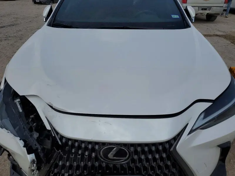 2024 LEXUS NX 250 PREMIUM  