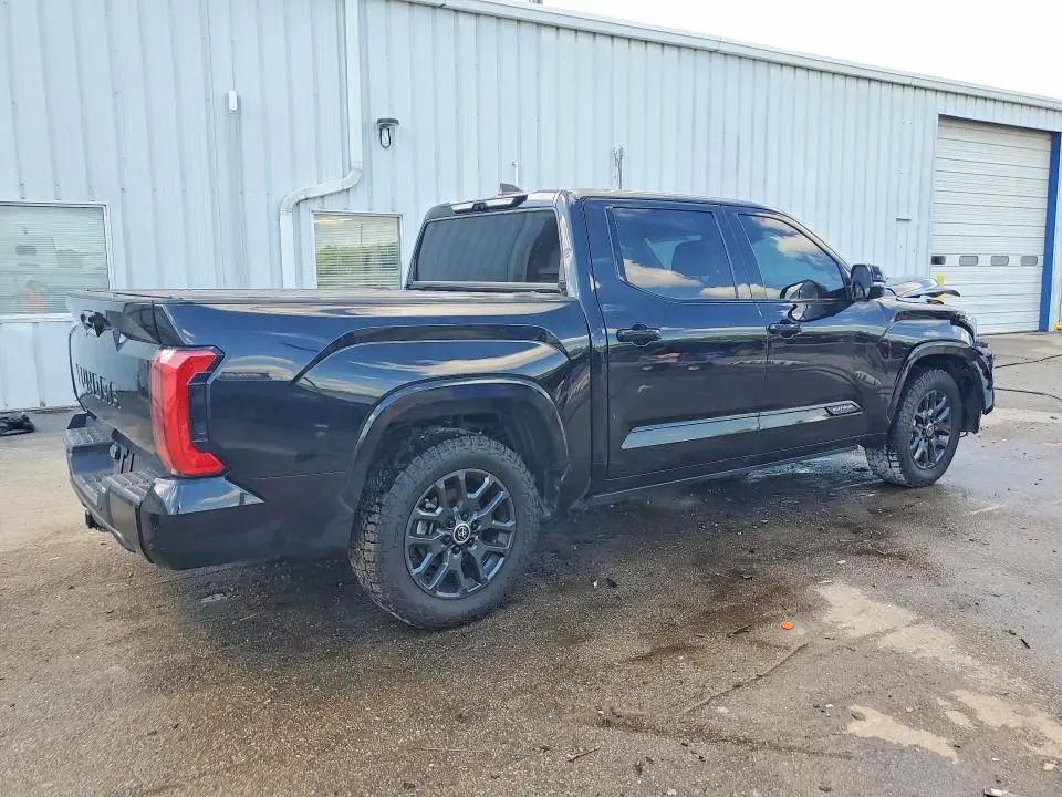 2024 TOYOTA TUNDRA PLATINUM  