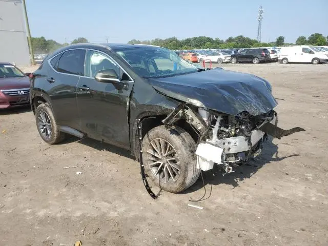 2025 LEXUS NX 350 BASE  