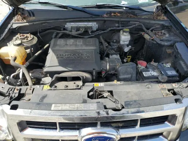 2011 FORD ESCAPE XLT  