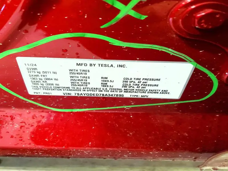 2025 TESLA MODEL Y   