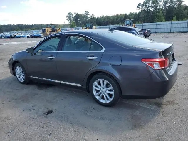 2010 LEXUS ES 350  