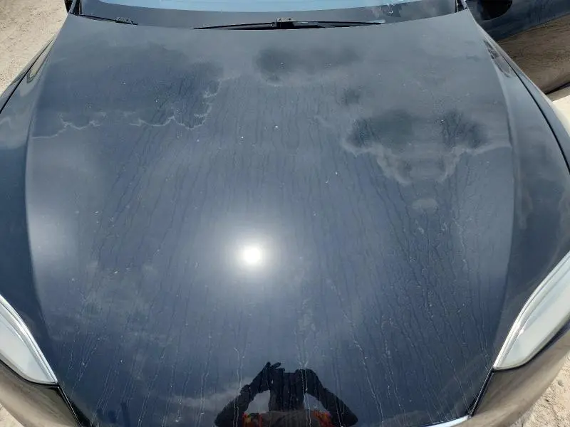 2020 TESLA MODEL S   
