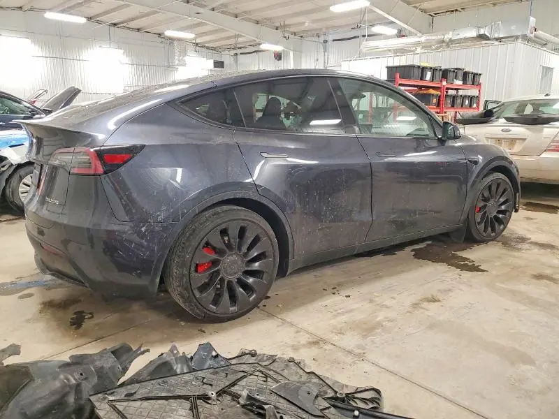 2025 TESLA MODEL Y   