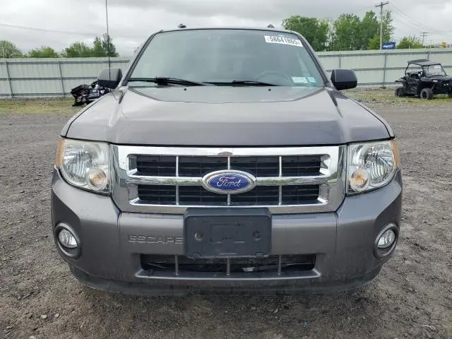 2011 FORD ESCAPE XLT  