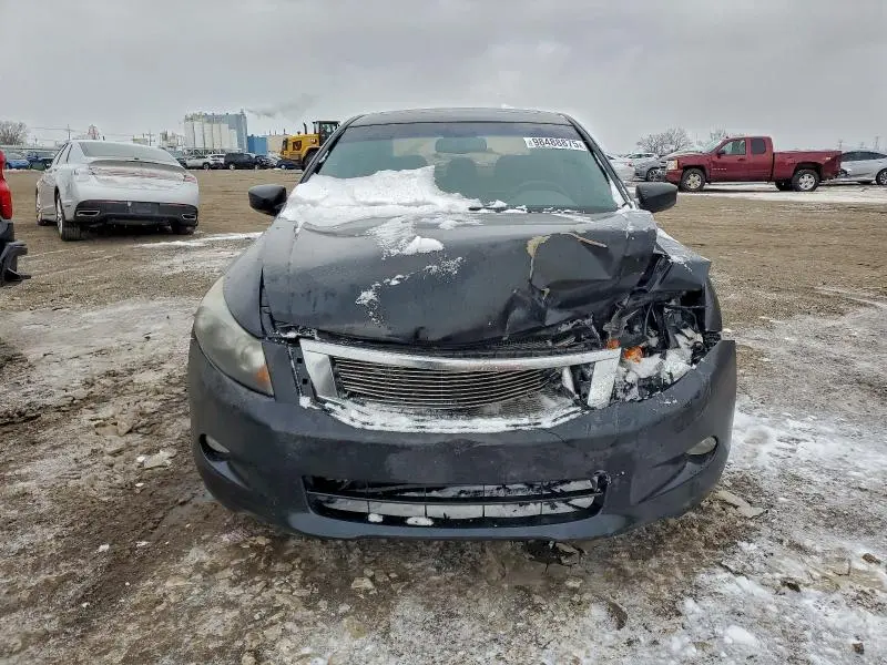 2010 HONDA ACCORD EXL  