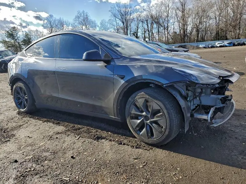 2025 TESLA MODEL Y   