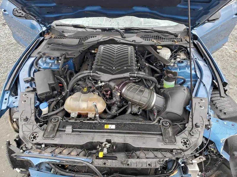 2019 FORD MUSTANG SHELBY GT350  