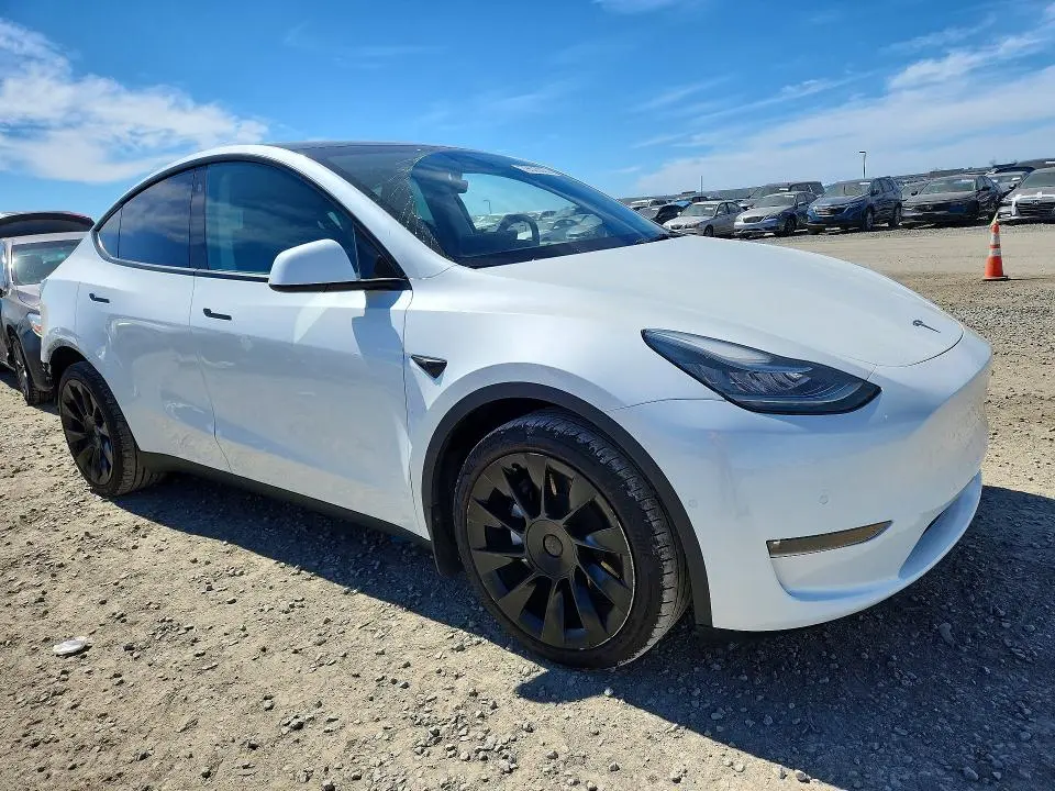 2021 TESLA MODEL Y   