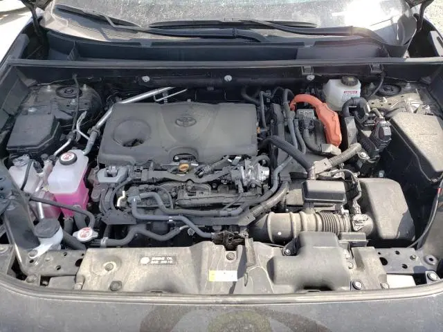 2024 TOYOTA RAV4 SE  