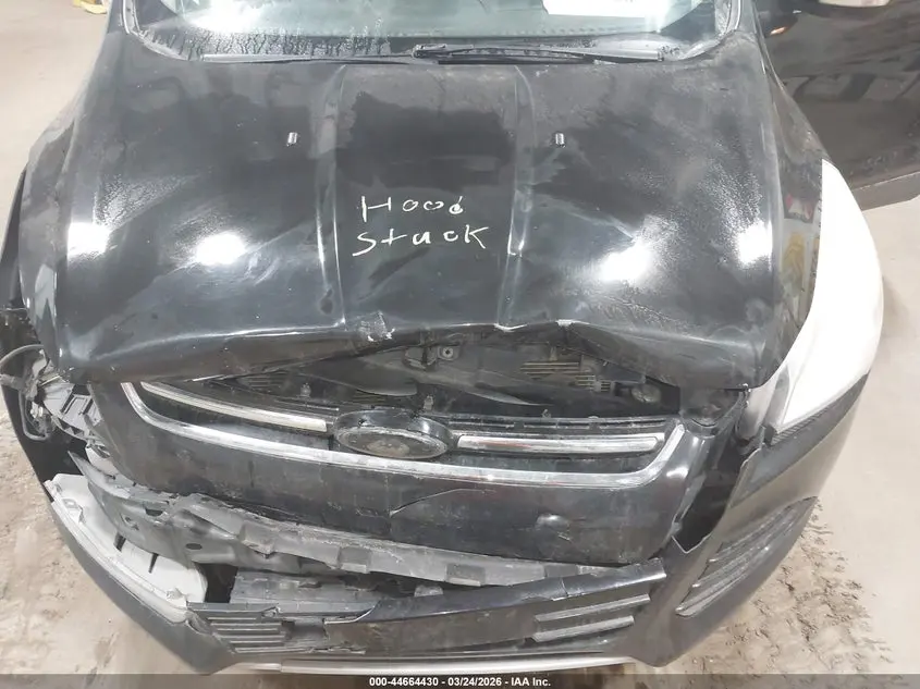 2013 FORD ESCAPE SEL