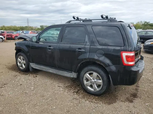 2010 FORD ESCAPE XLT  