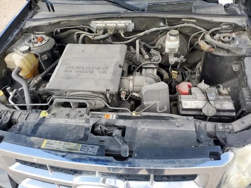 2010 FORD ESCAPE LIMITED  