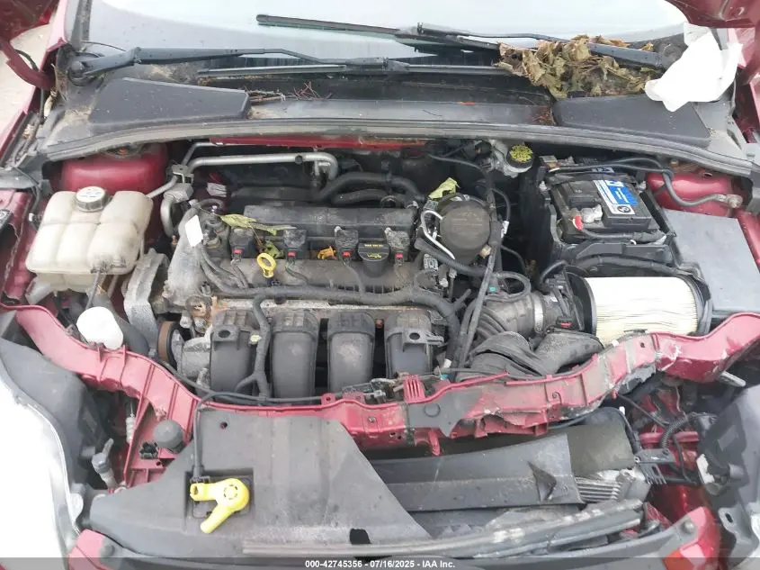 2013 FORD FOCUS SE