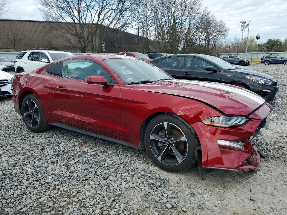 2019 FORD MUSTANG   