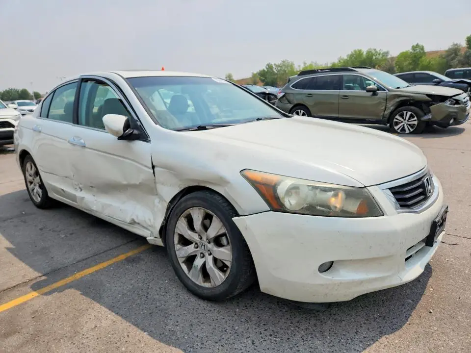 2010 HONDA ACCORD EXL  