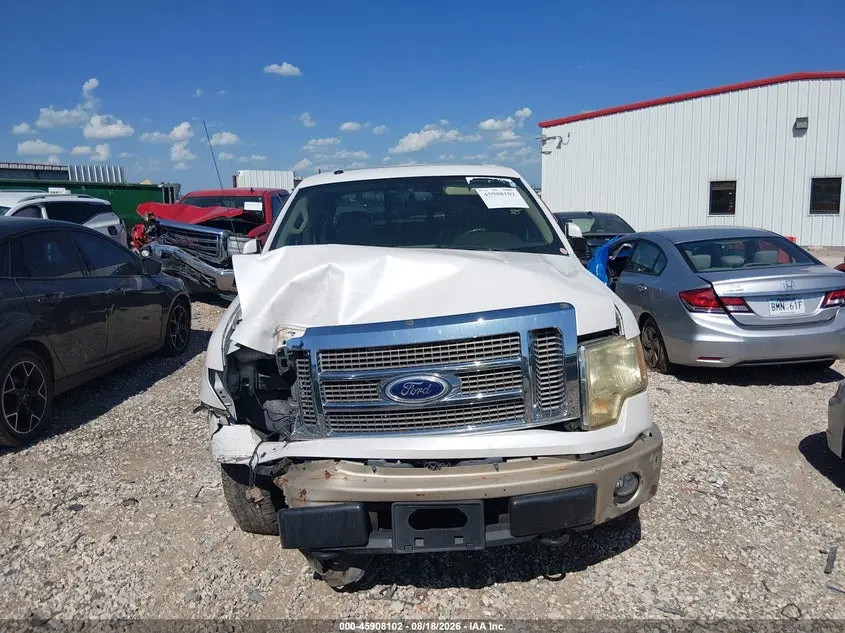 2010 FORD F-150 FX4/HARLEY-DAVIDSON/KING RANCH/LARIAT/PLATINUM/XL/XLT