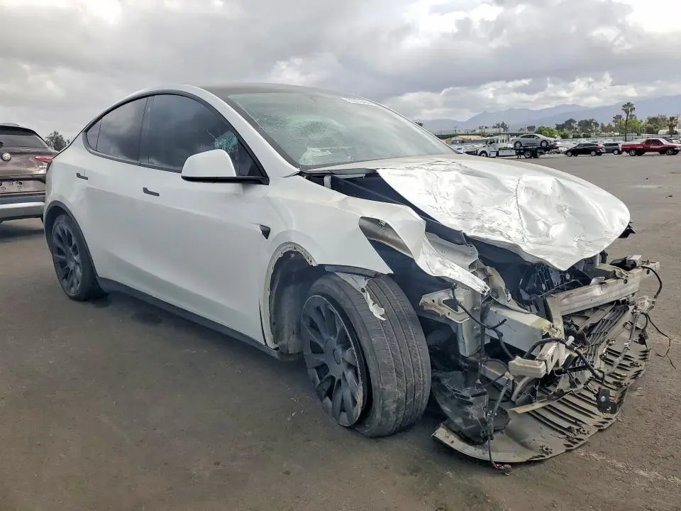 2021 TESLA MODEL Y   