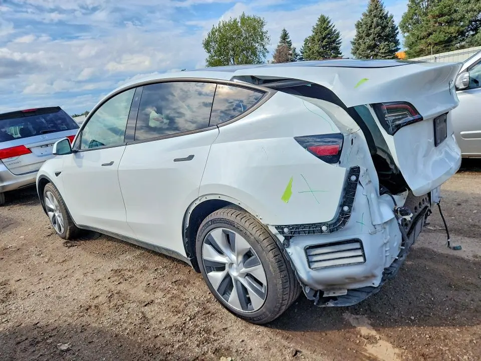 2020 TESLA MODEL Y   