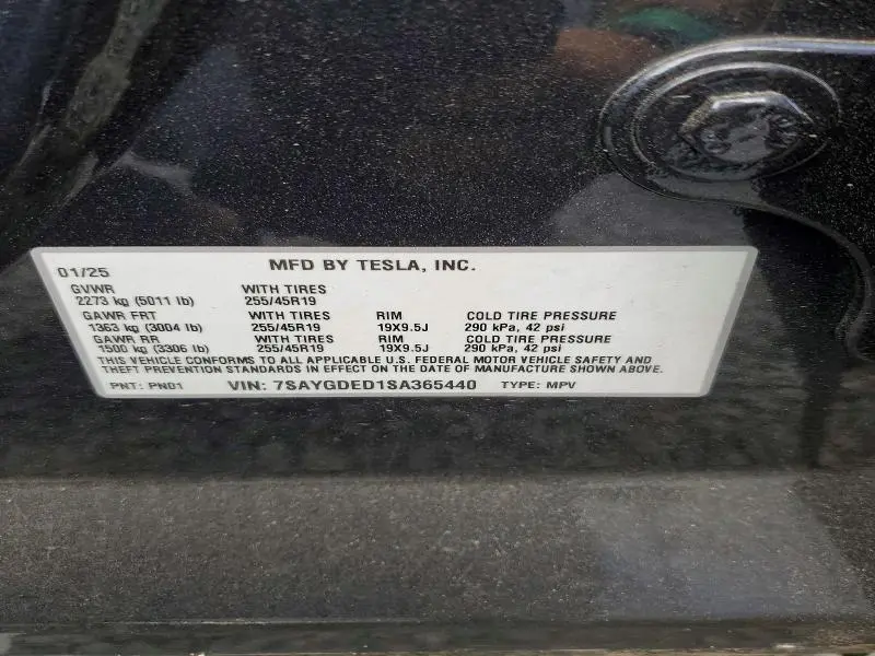 2025 TESLA MODEL Y   
