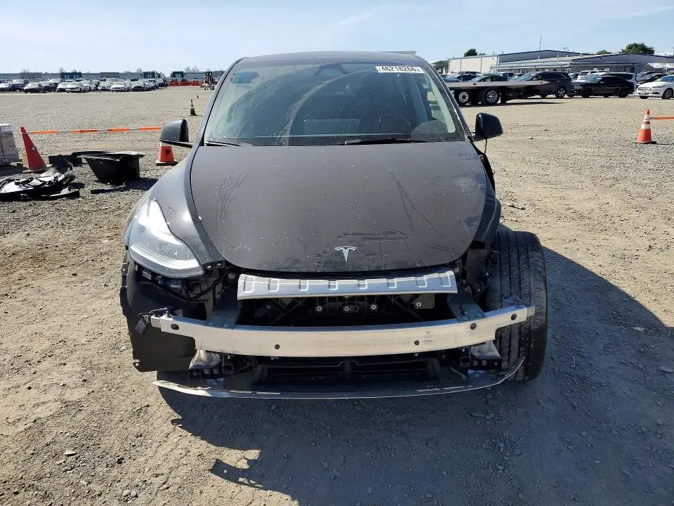 2025 TESLA MODEL Y   