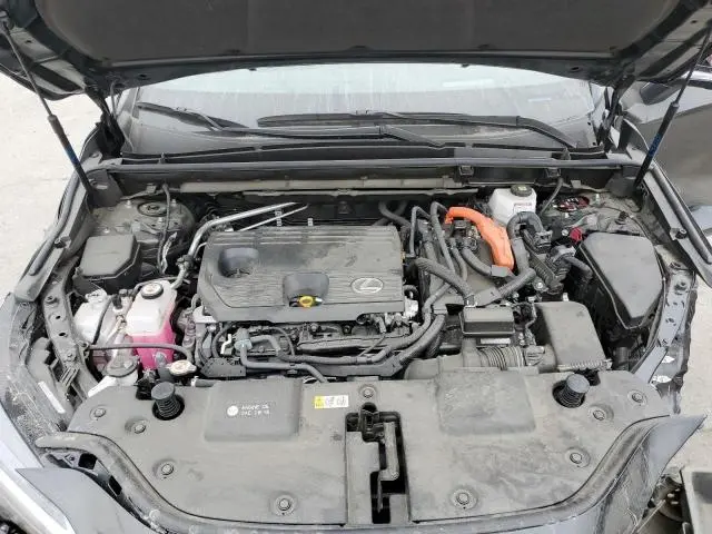 2024 LEXUS NX 350H BASE  