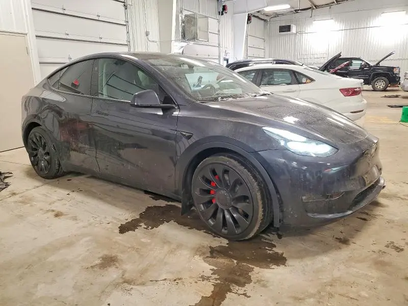 2025 TESLA MODEL Y   