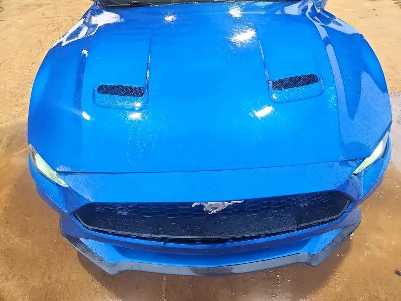 2019 FORD MUSTANG   