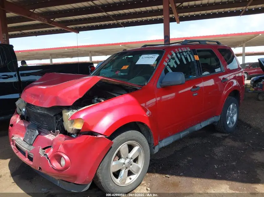 2010 FORD ESCAPE XLT