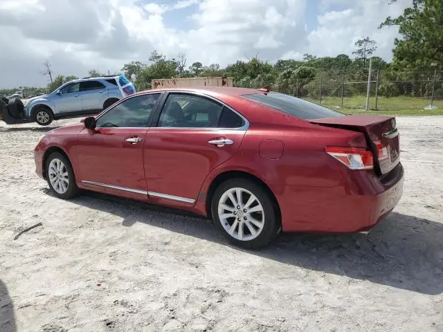 2010 LEXUS ES 350  