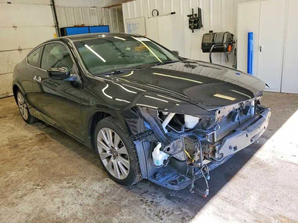 2010 HONDA ACCORD EXL  
