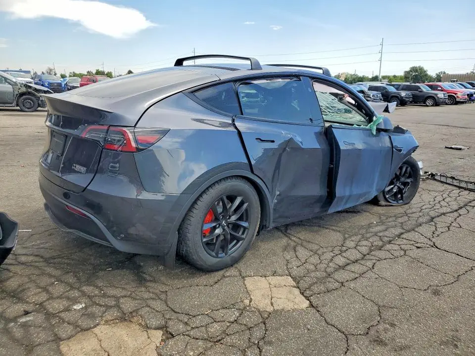 2025 TESLA MODEL Y   