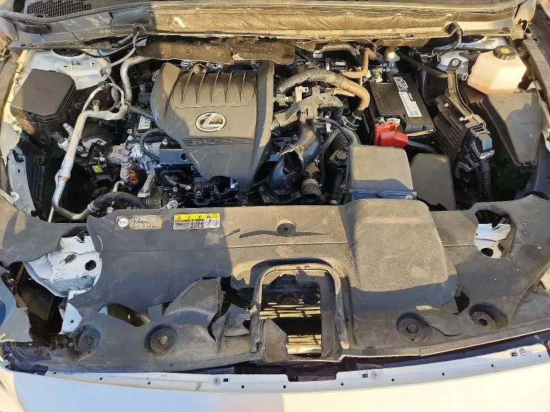 2024 LEXUS RX 350 BASE  