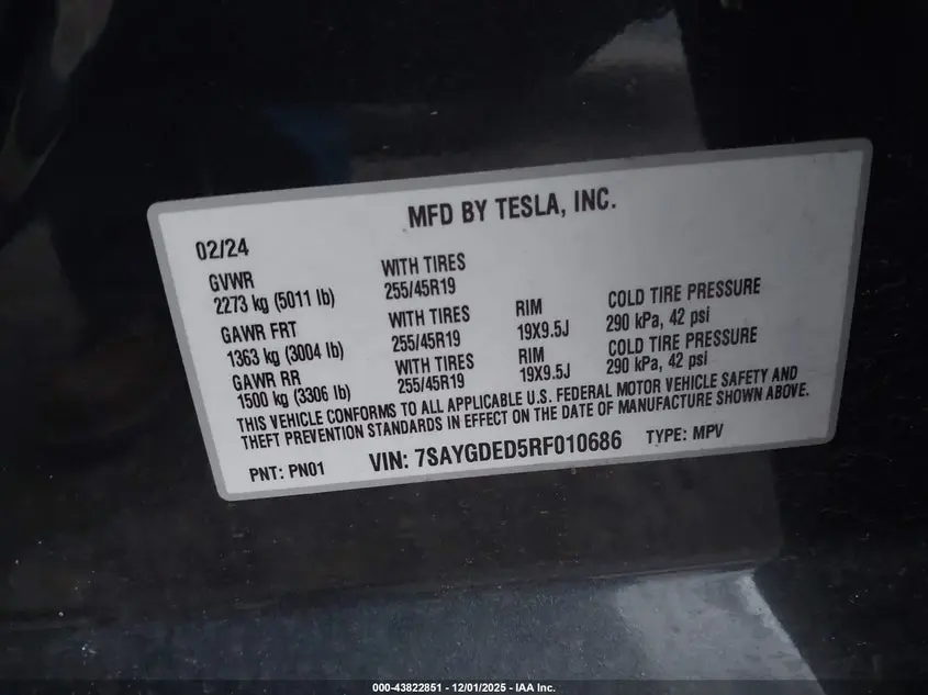 2024 TESLA MODEL Y RWD