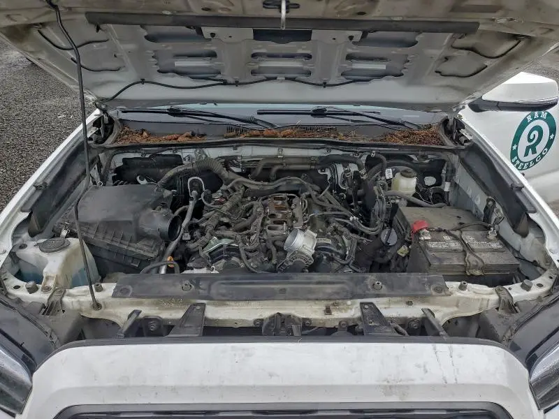 2023 TOYOTA TACOMA ACCESS CAB  