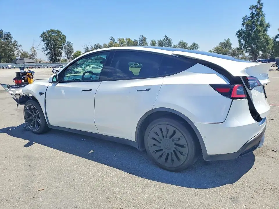 2021 TESLA MODEL Y   