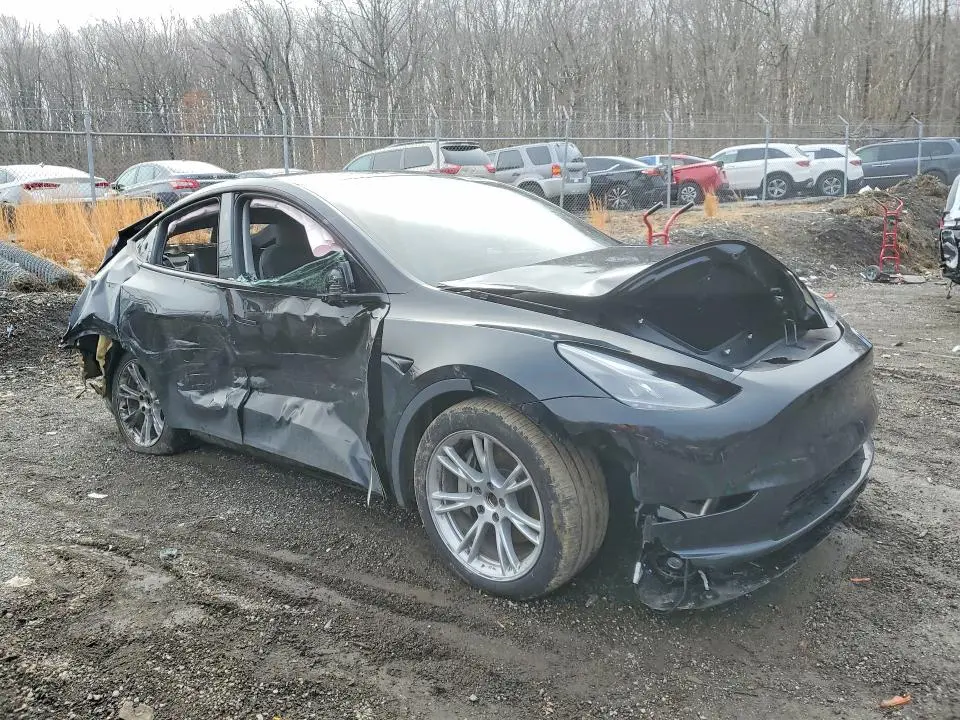 2024 TESLA MODEL Y   