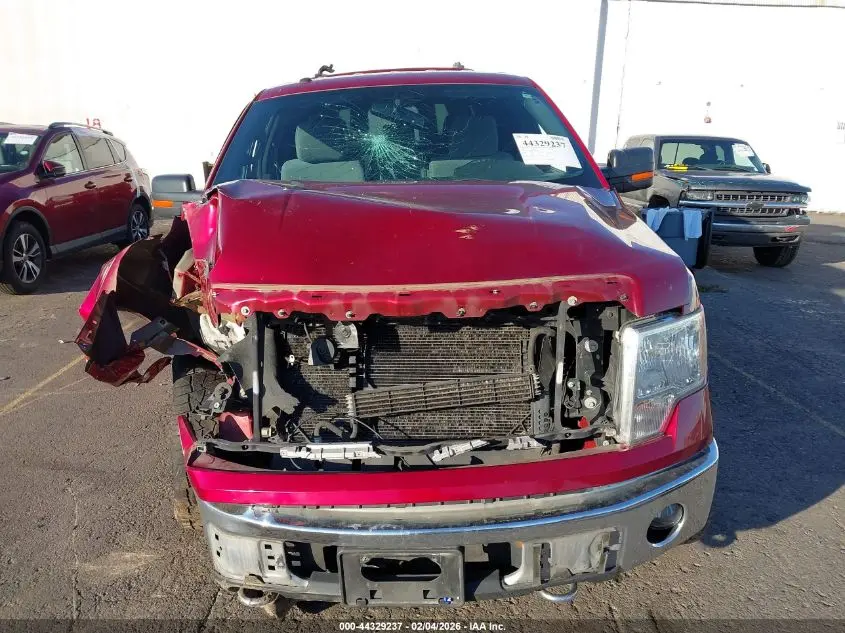 2014 FORD F-150 XLT