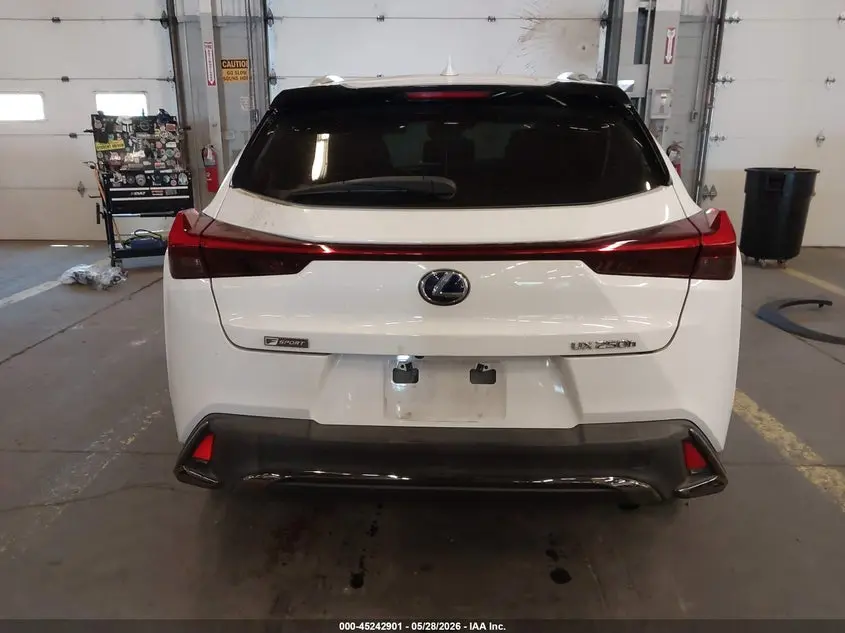 2019 LEXUS UX 250H F SPORT