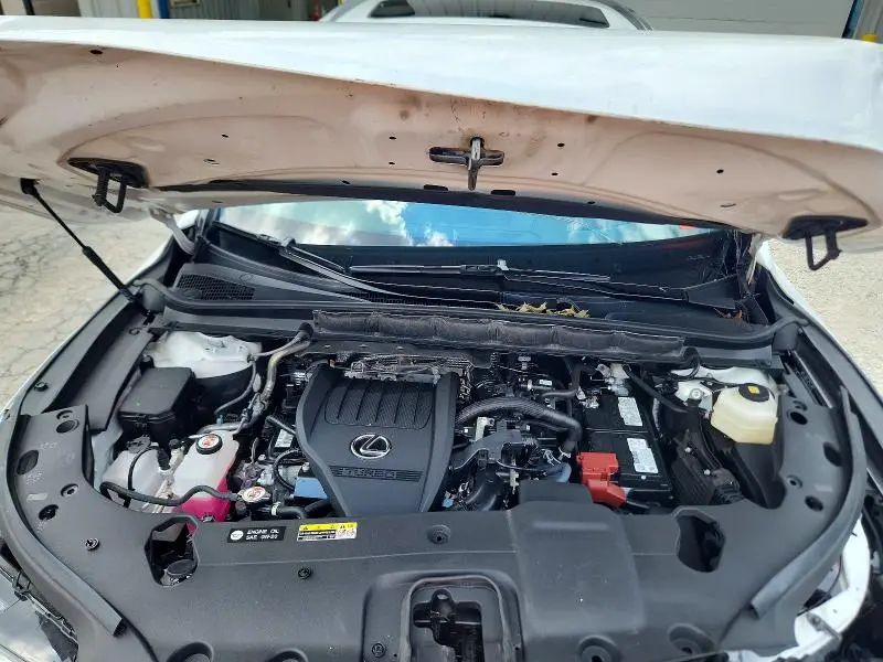 2024 LEXUS RX 350 PREMIUM+  