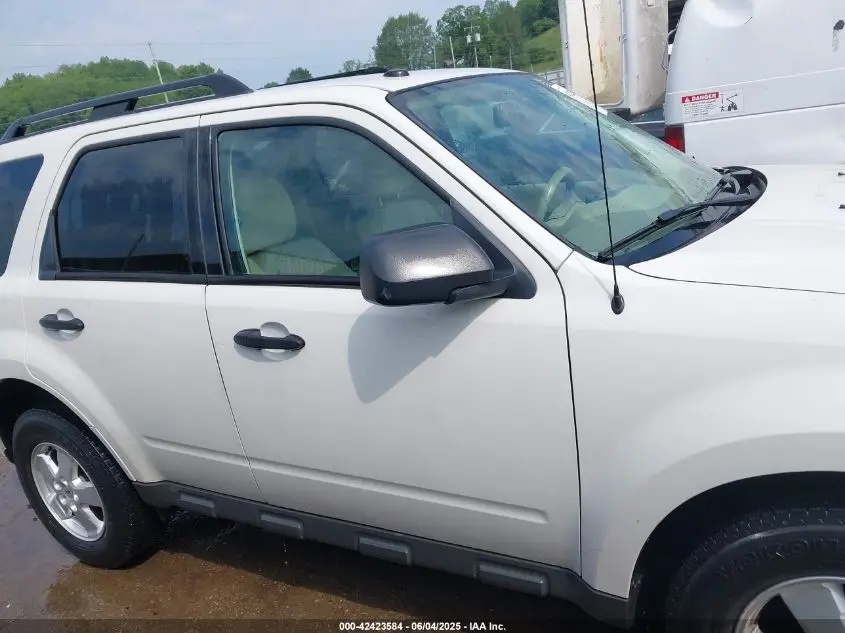 2010 FORD ESCAPE XLT