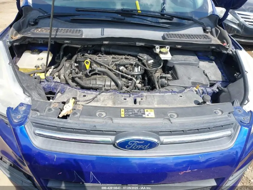 2013 FORD ESCAPE SE
