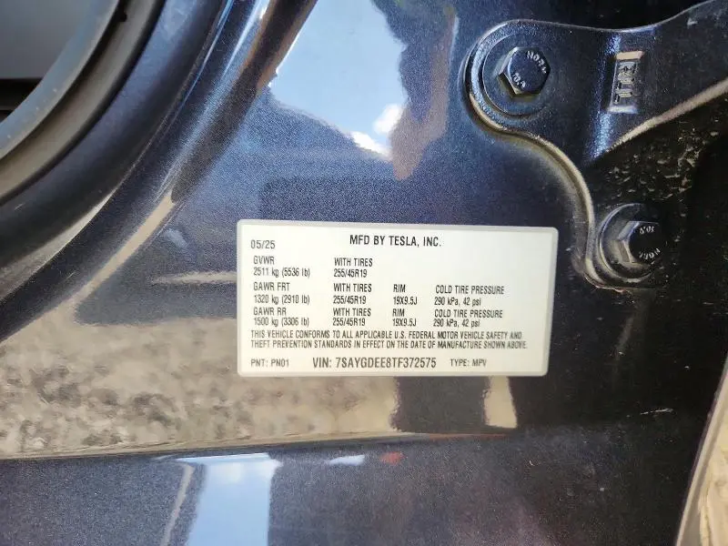 2026 TESLA MODEL Y   