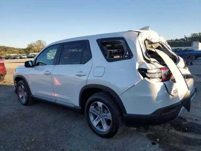2025 HONDA PILOT EXL