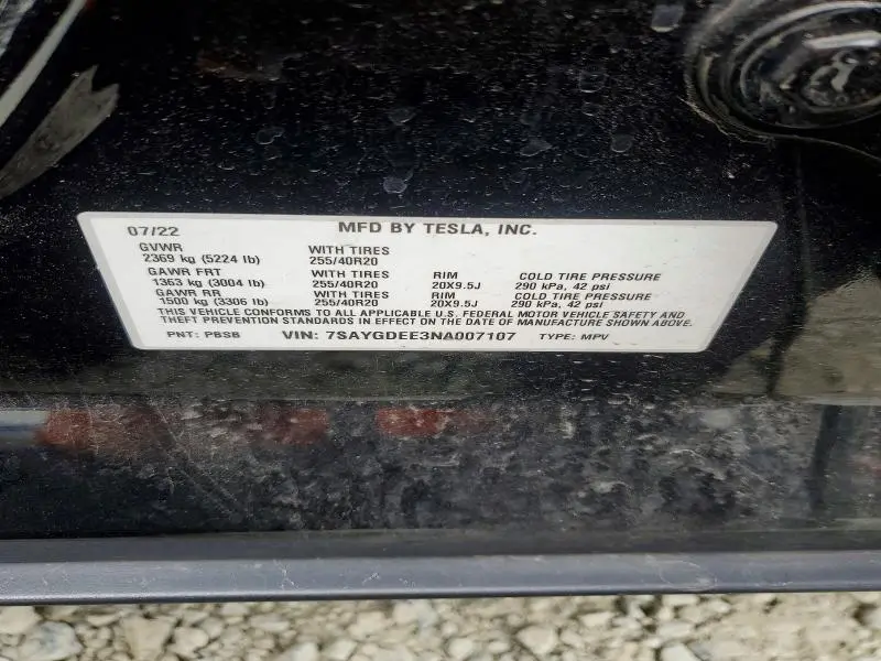 2022 TESLA MODEL Y   