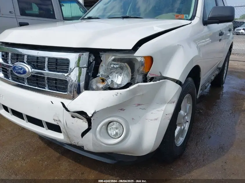 2010 FORD ESCAPE XLT